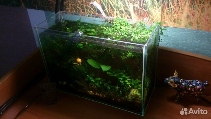 Чистка аквариума, дизайн, переезд, установка