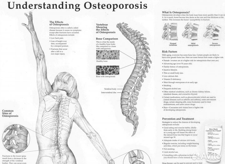 Перевод текста с/на английский язык