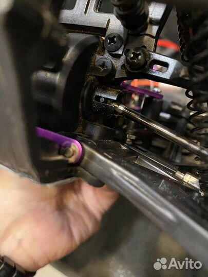 Hsp brontosaurus 1/10