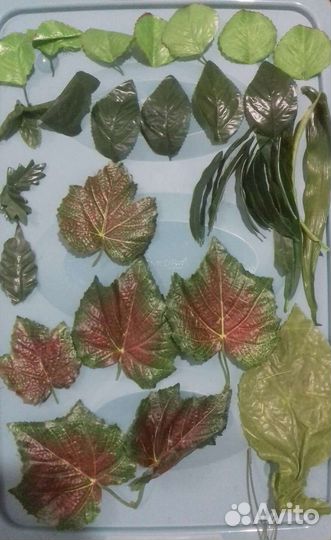 Цветы,листья,стебли. Листайте фото