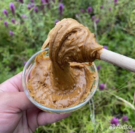 Бортевой мёд Башкирии