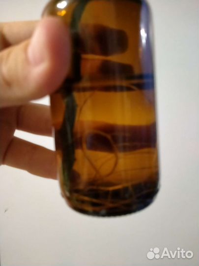 Педилантус черенки