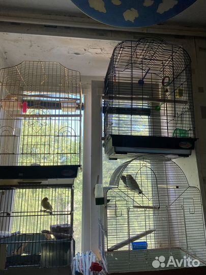 Клетки и переноски