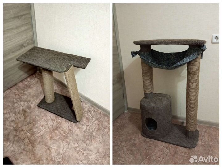 Когтеточки