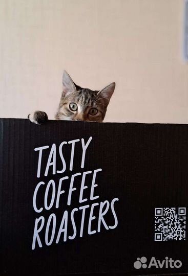 Кофе зерновой Tаsty Coffeе / Bravos в Калининграде