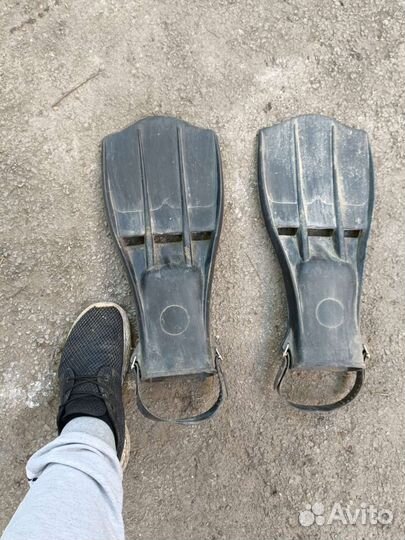 Ласты для подводной охоты в камыше