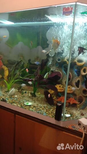 Аквариум