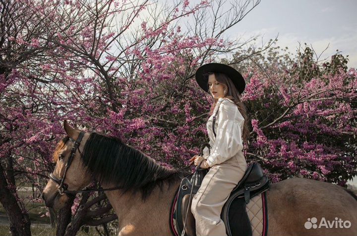 Фотограф с лошадьми и другими животными