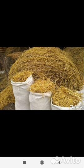 Солома в мешках на подстилку