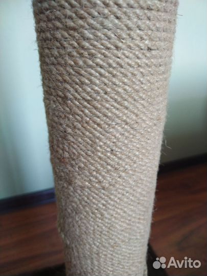 Когтеточка