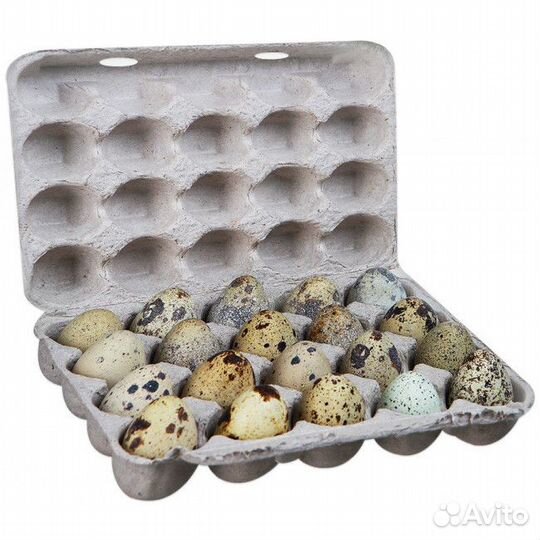 Ячейки для перепелиных яиц картон 20 шт