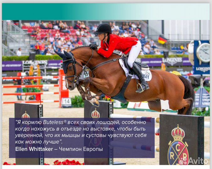 Корм для лошадей,Кормовые добавки для лошадей