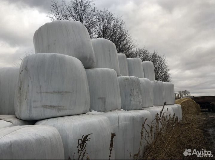 Тюки, сенаж