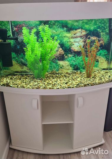 Аквариум с тумбой 250л