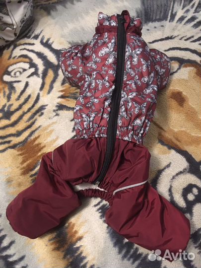 Одежда для собак