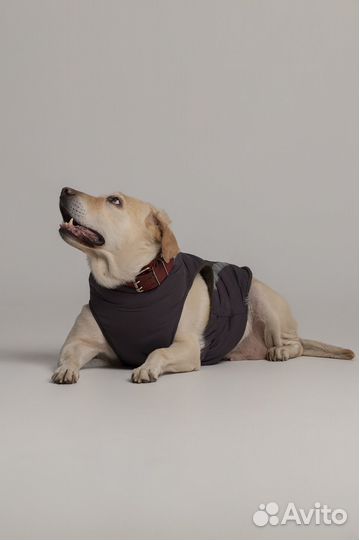 Утепленный жилет для собаки