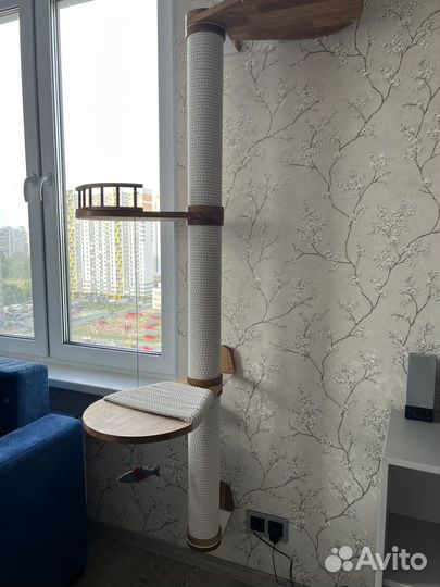 Настенный домик когтеточка Catsby Family wall