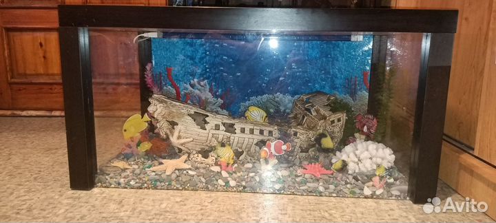 Сухой аквариум