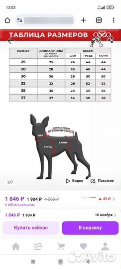 Комбинезон для собаки