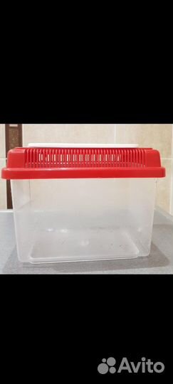 Террариум маленький