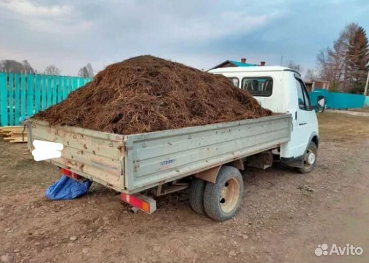 Перегной и Навоз