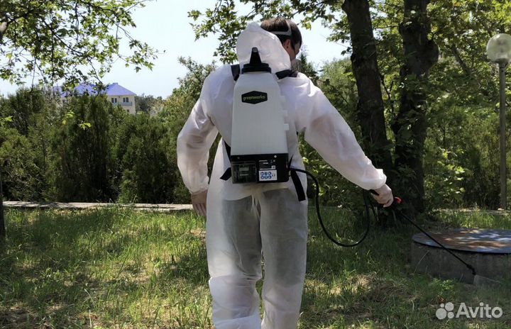 Дератизация дезинфекция дезинсекция