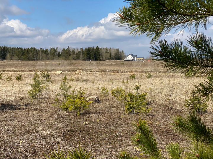 Участок 12,9 сот. (СНТ, ДНП)