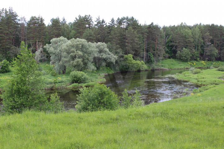 Участок 3,5 га (ИЖС)