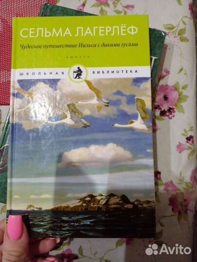 Нильс и дикие гуси