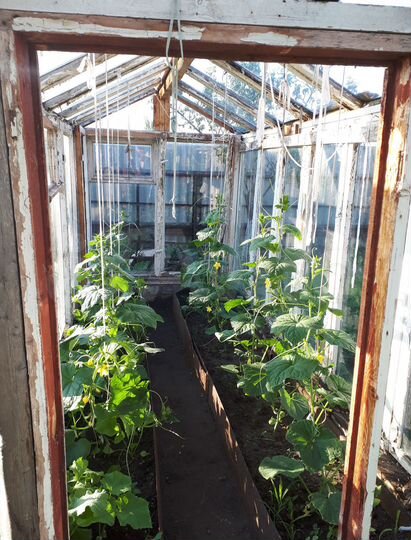 Дача 42,2 м² на участке 14 сот.