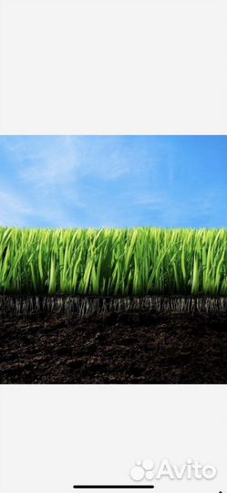 Чернозем, торф