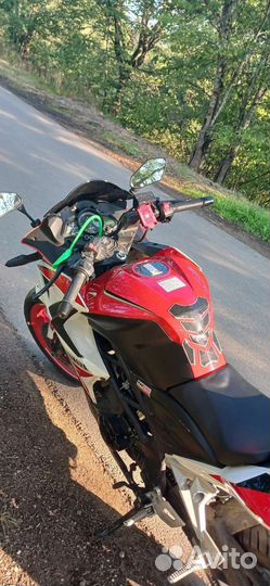 Racer storm 250