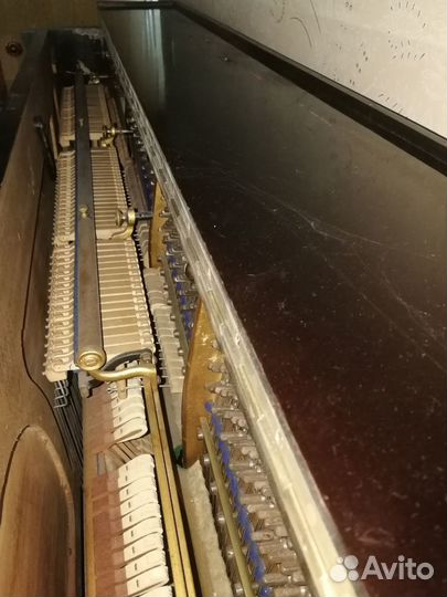 Пианино Bluthner Leipzig (Блютнер Лейпциг)