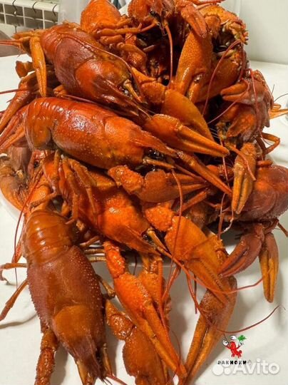 Сочные раки от 3 кг