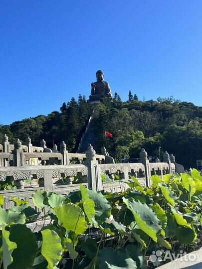 Педагог по китайскому языку