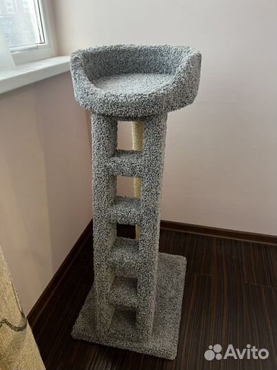 Лазелка для кошек