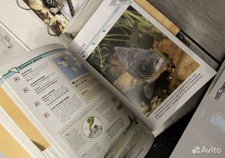 5 томов энциклопедии В мире дикой природы