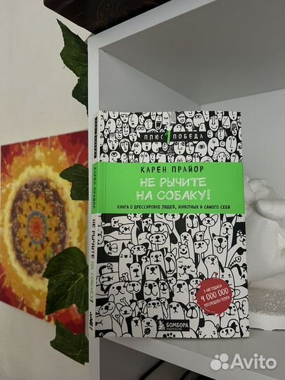 Не рычите на собаку