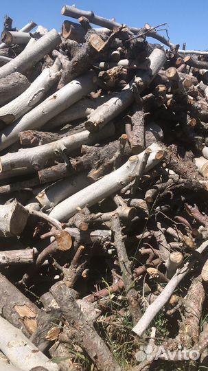 Дрова