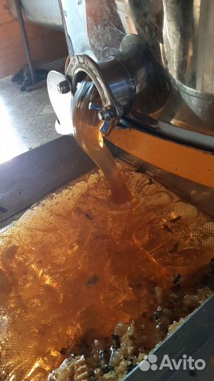 Разнотравие