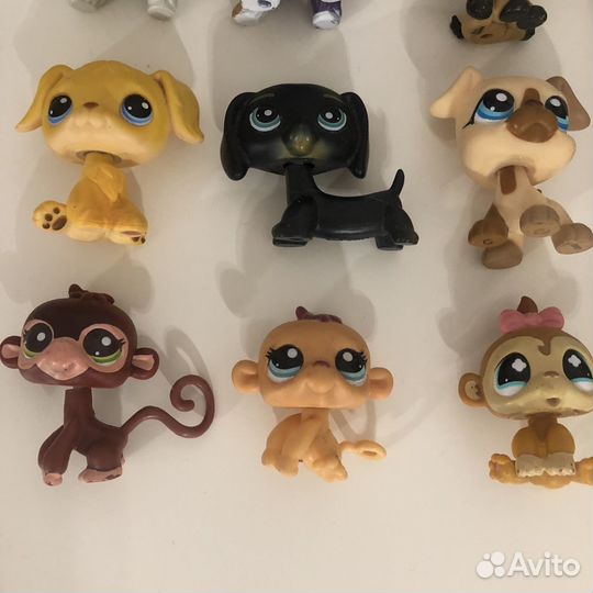 Littlest Pet Shop