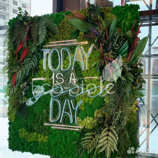 Логотип со мхом с подсветкой