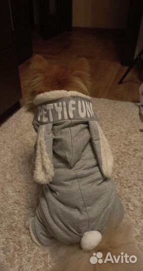Костюм для животных
