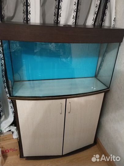 Аквариум и его декор