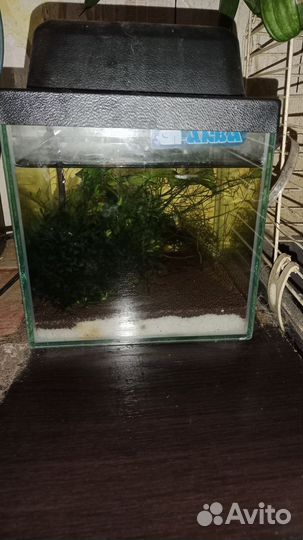Аквариум