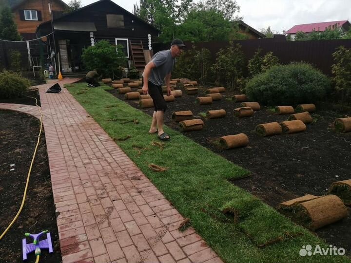 Рулонный газон под ключ
