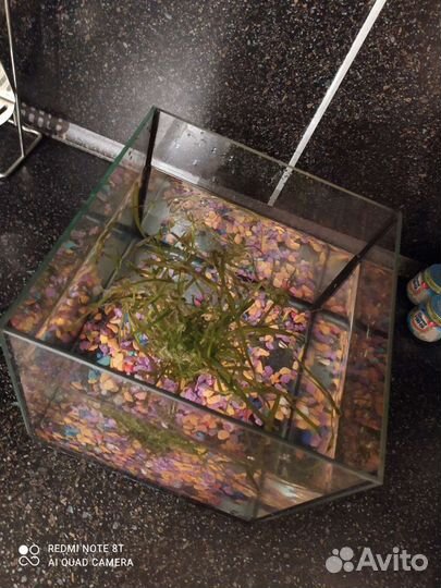 Аквариум 10л