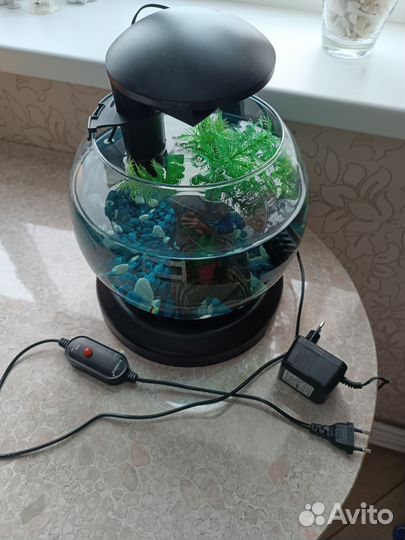 Аквариум