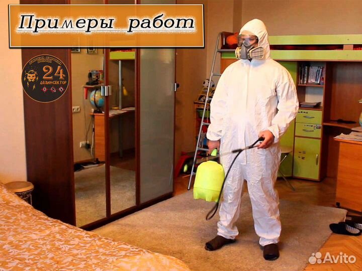 Уничтожение клопов, тараканов, клещей, грызунов