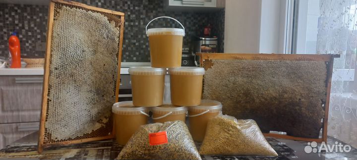 Мед разнотравье урожай 2023г